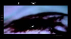 Project Thumbnail